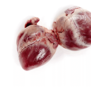 Frozen Pork Hearts for Sale