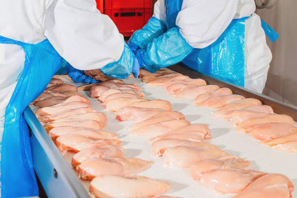 Top-Quality Frozen Chicken & Pork Parts