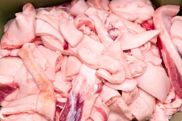 Top-Quality Frozen Chicken & Pork Parts
