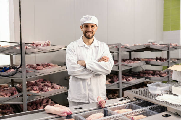 Top-Quality Frozen Chicken & Pork Parts